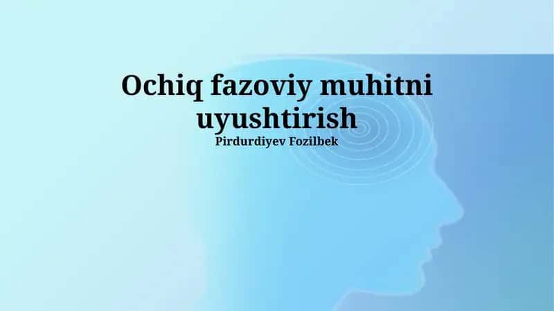 Ochiq fazoviy muhitni uyushtirish