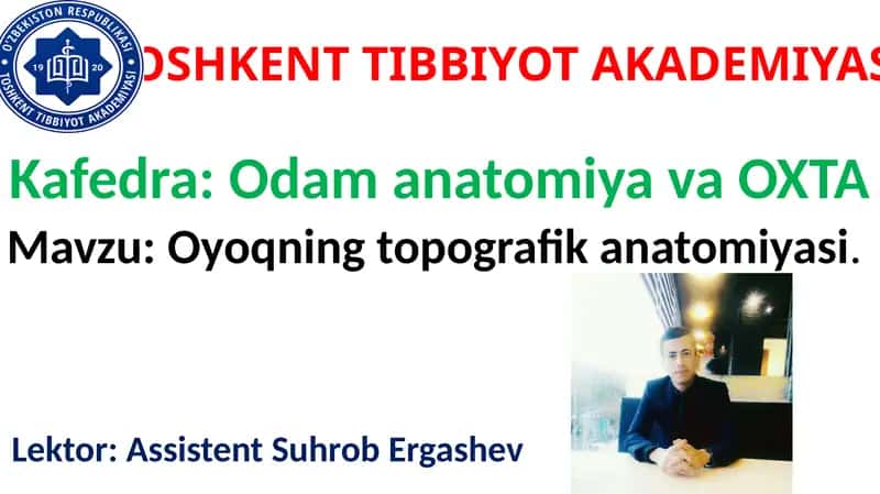 Oyoqning Topografik Anatomiyasi