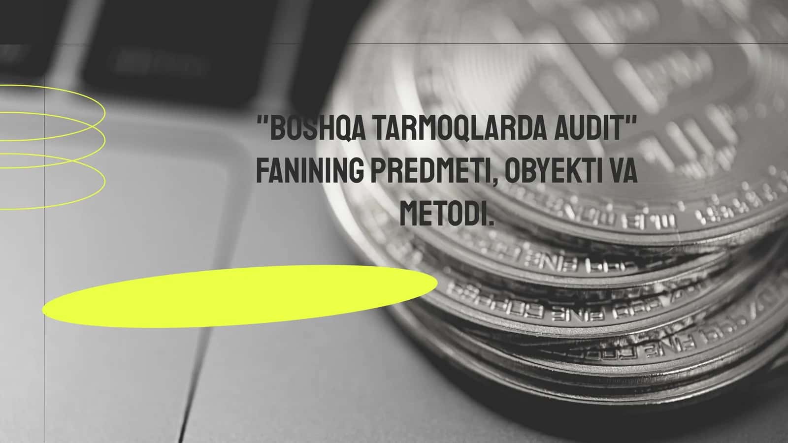 Auditning Boshqa Tarmoqlardagi Asosiy Yo'nalishlari
