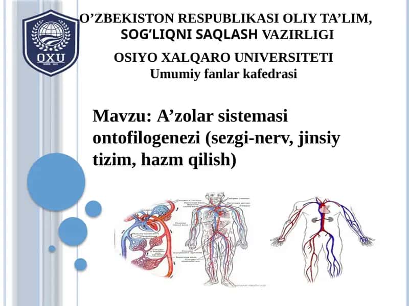 A’zolar sistemasi ontofilogenezi(sezgi-nerv,jinsiytizim, hazmqilish)