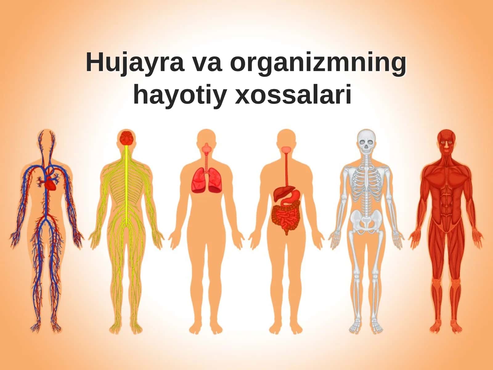 Hujayrava organizmning hayotiy xossalari