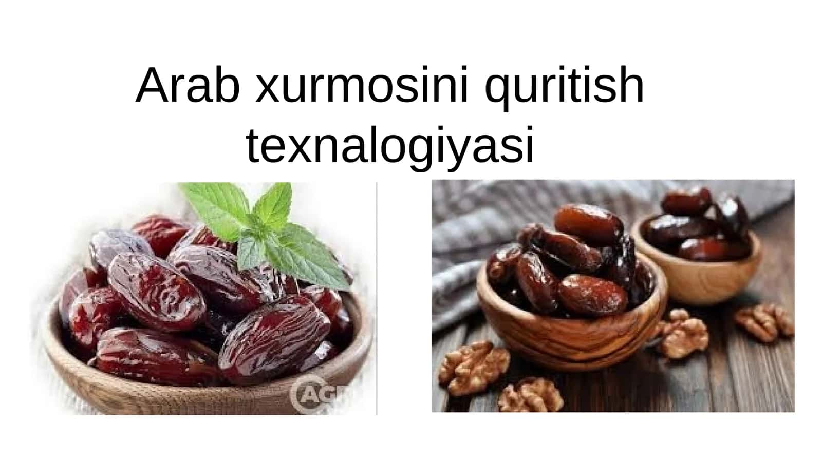 Arab xurmosini quritish texnalogiyasi