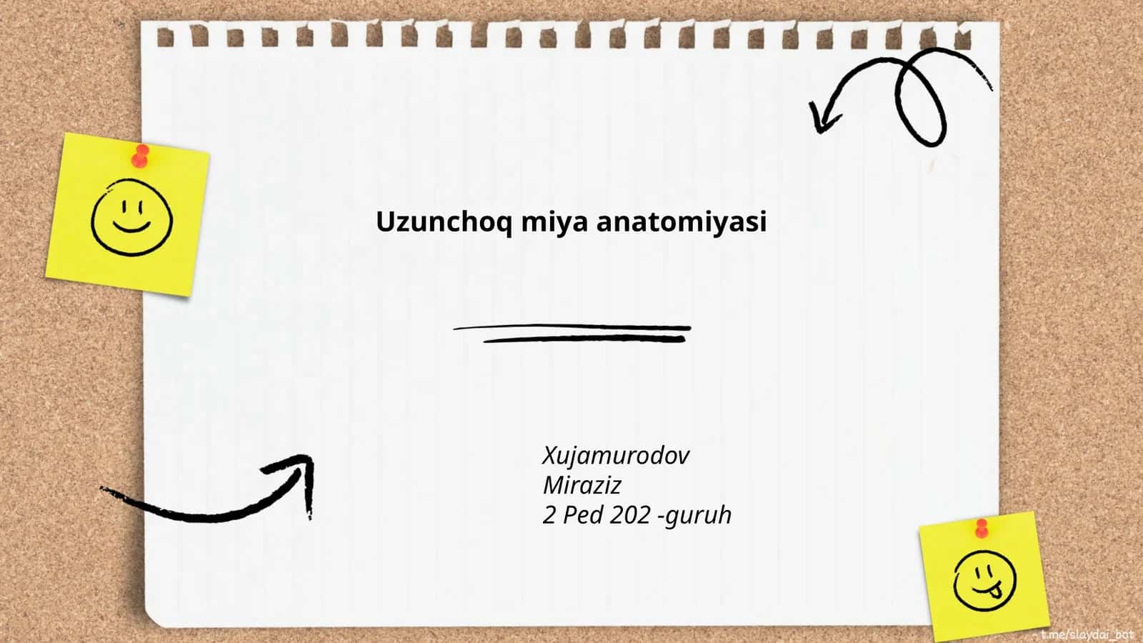 Uzunchoq miya anatomiyasi