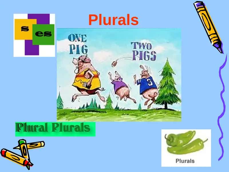 Plurals