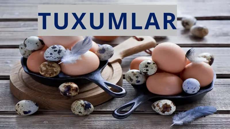 Tuxumlar turlari