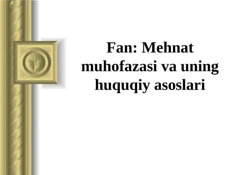Mehnat muhofazasi kursi