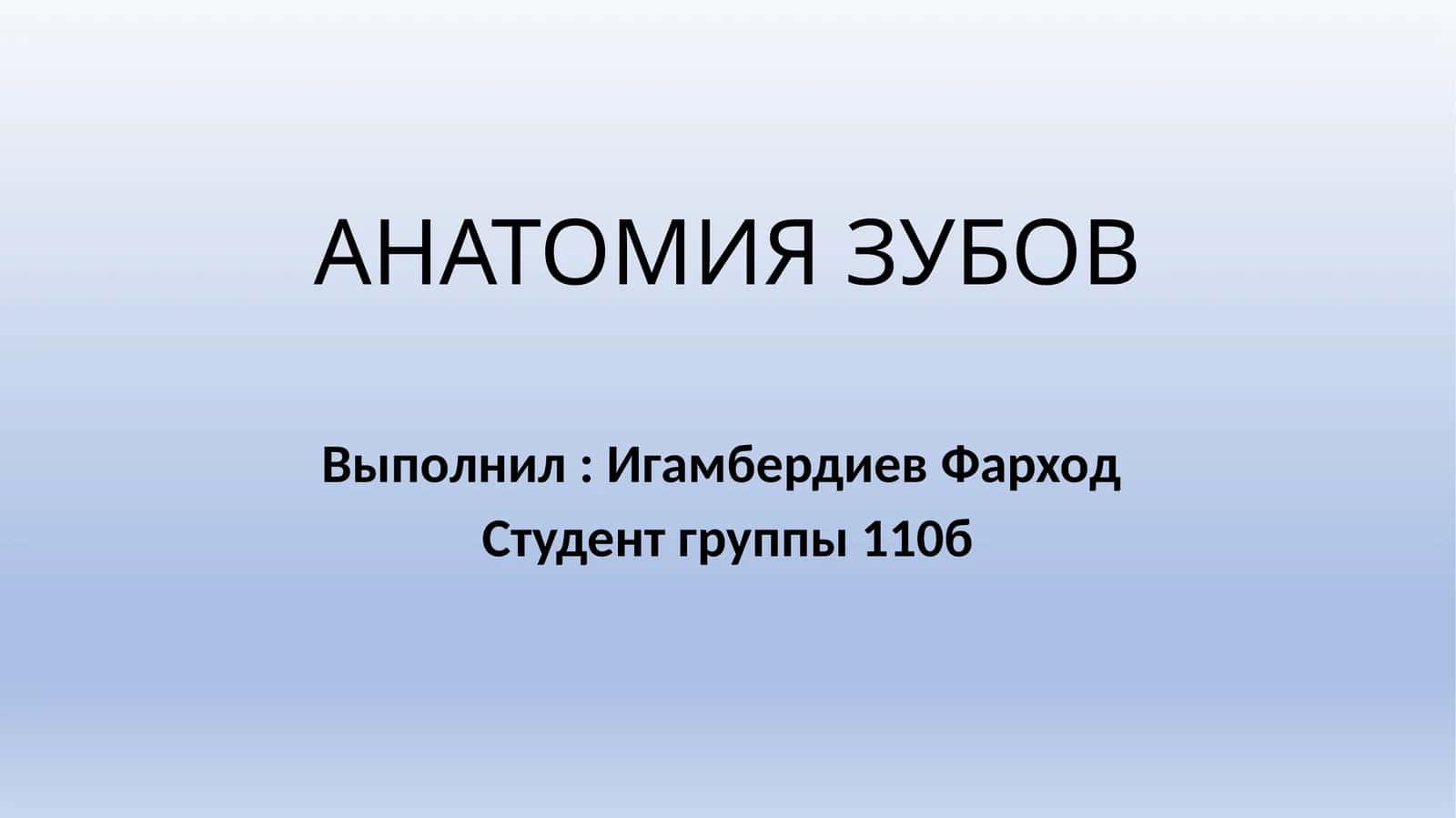 АНАТОМИЯ ЗУБОВ