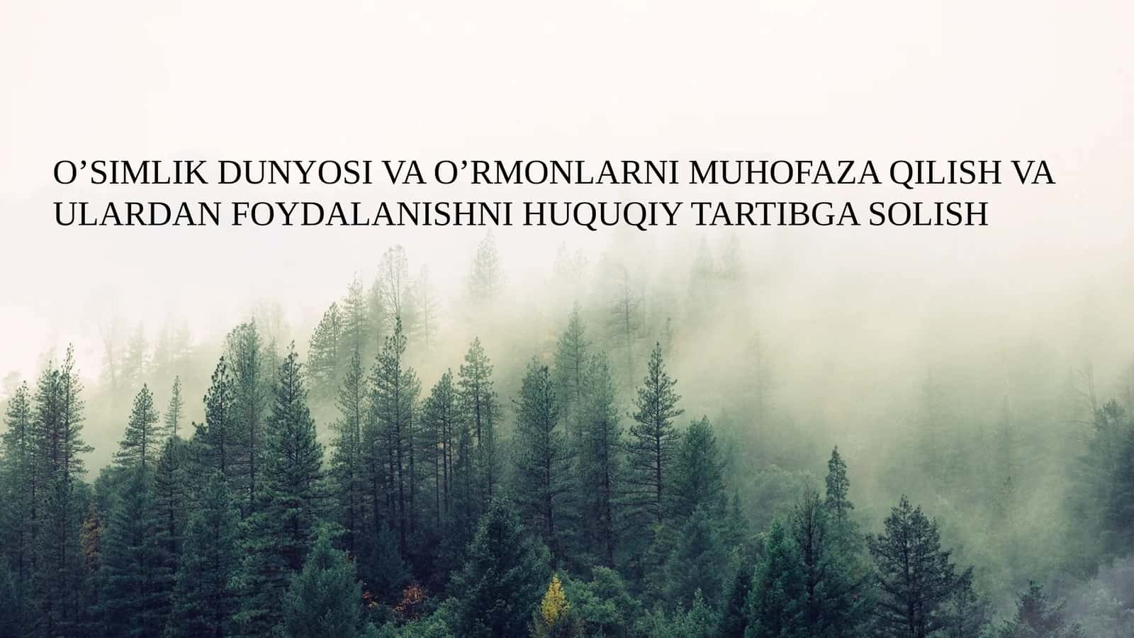 O’SIMLIK DUNYOSI VA O’RMONLARNI MUHOFAZA QILISH VA ULARDAN FOYDALANISHNI HUQUQIY TARTIBGA SOLISH