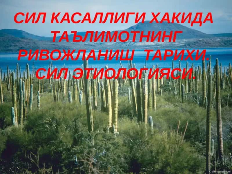 Сил касаллиги хакида таълим