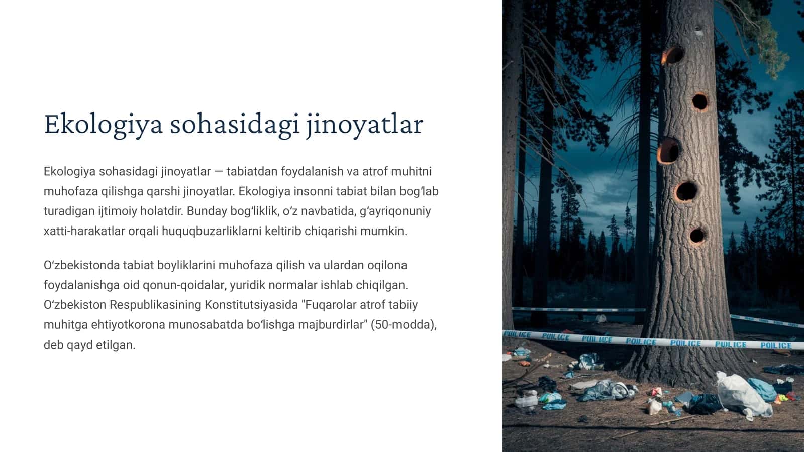 Ekologiya sohasidagi jinoyatlar