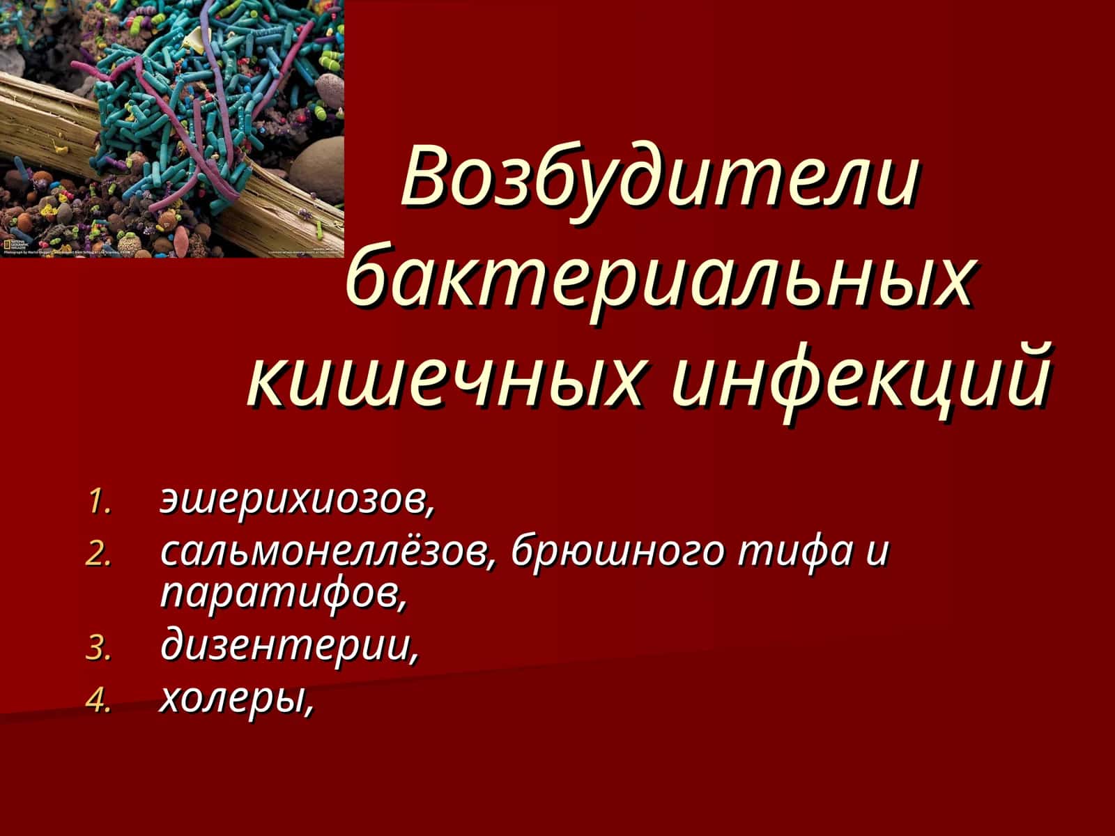 Возбудители бактериальных кишечных инфекций