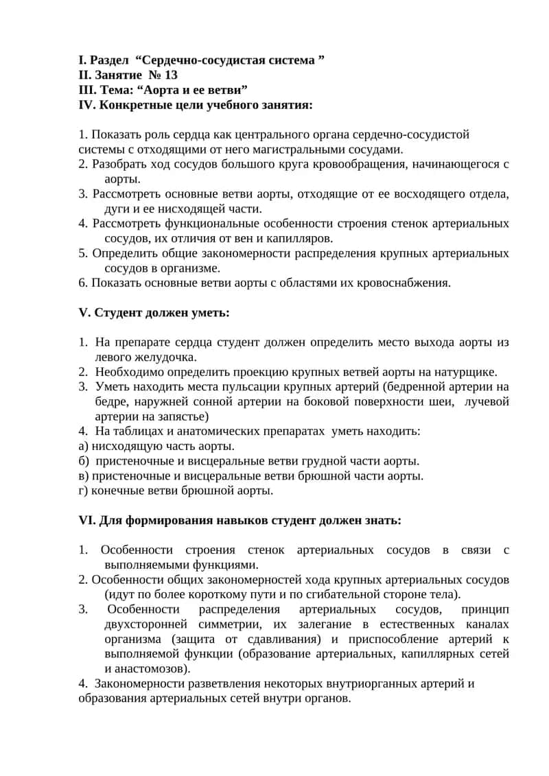 Аорта и ее ветви