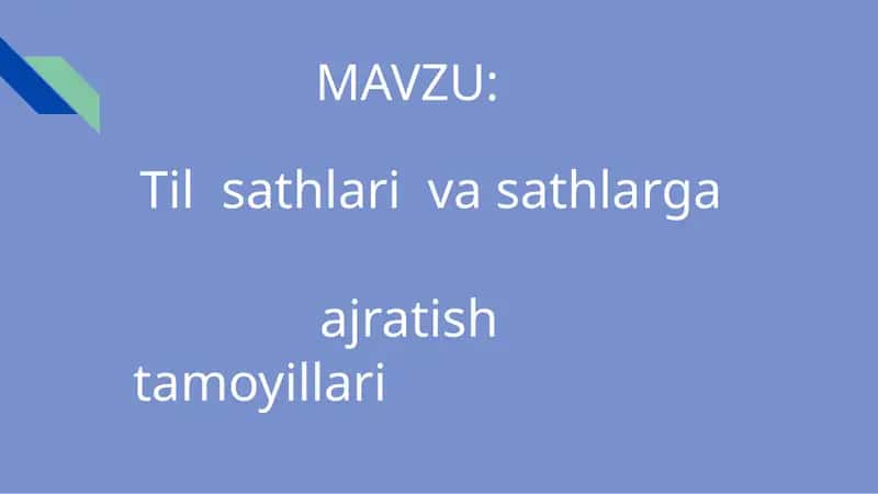 Til sathlari va sathlarga ajratish tamoyillari