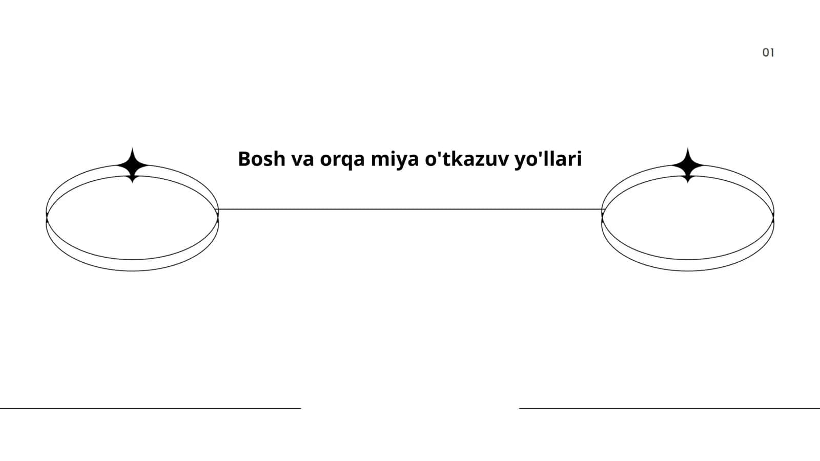 Bosh va orqa miya o'tkazuv yo'llari