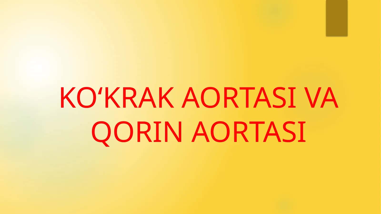 KOʻKRAK AORTASI VA QORIN AORTASI