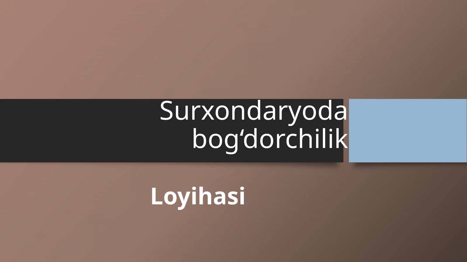 (100 millionlik loyiha ishi)  Surxondaryoda bog‘dorchilik Loyihasi