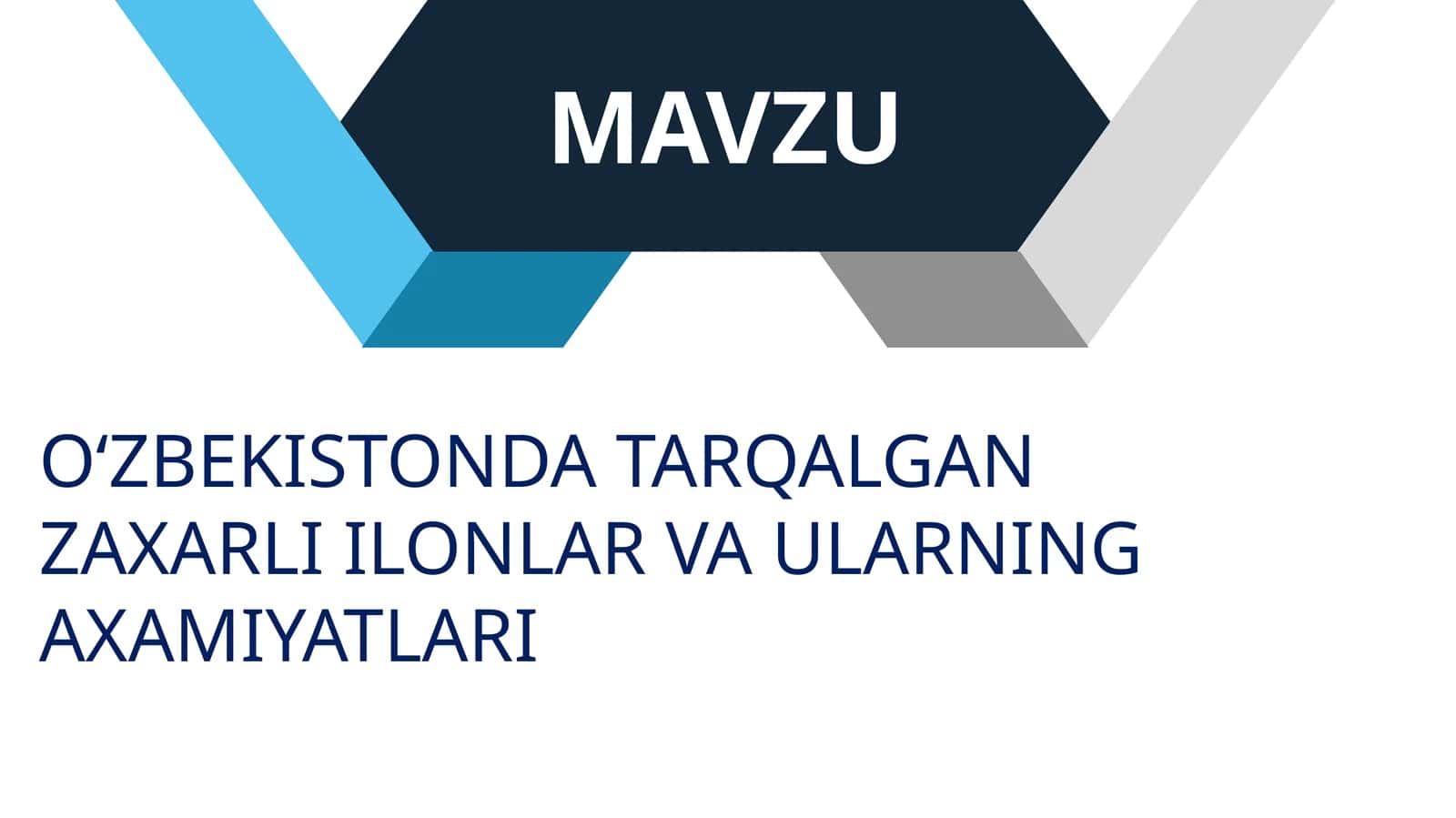 OʻZBEKISTONDA TARQALGAN ZAXARLI ILONLAR VA ULARNING AXAMIYATLARI