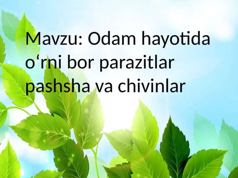 Odam hayotida oʻrni bor parazitlar pashsha va chivinlar