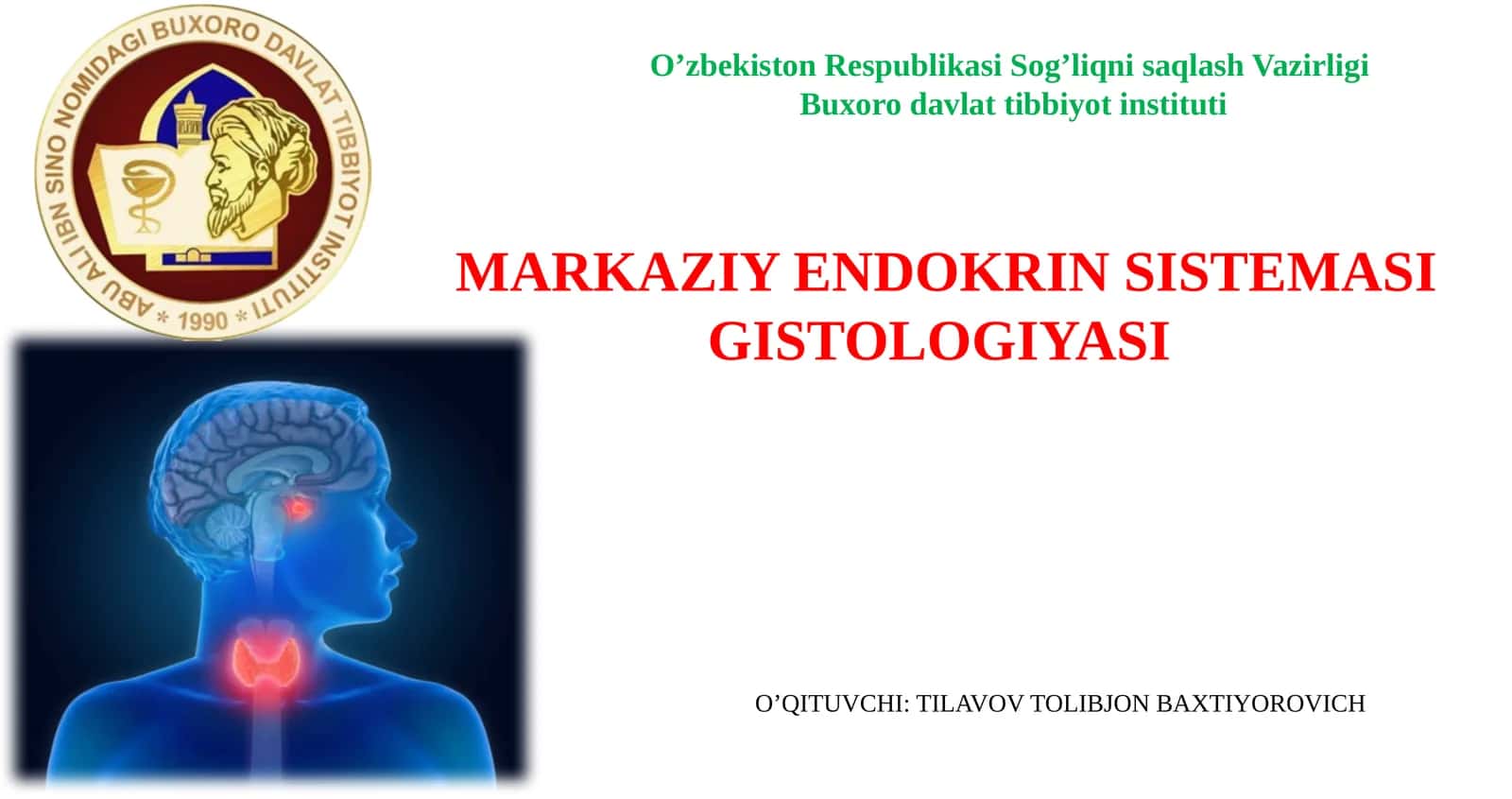 MARKAZIY ENDOKRIN SISTEMASI GISTOLOGIYASI