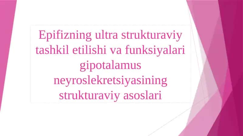 Epifizning ultrastruktura viy tashkili shivasi va funktsiyalari