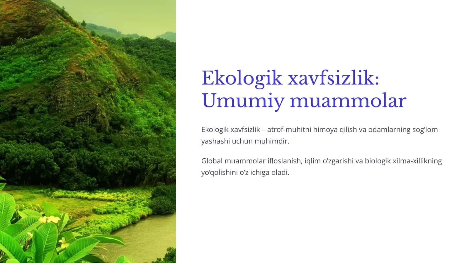Ekologik xavfsizlik: Umumiy muammolar
