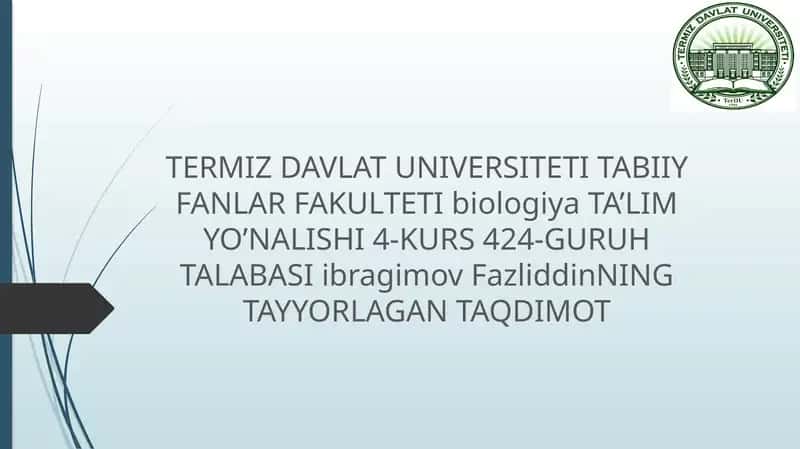 Salplar va appendikulyariyalar sinfi
