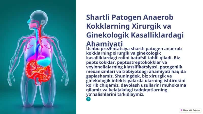 Shartli Patogen Anaerob Kokklarning Xirurgik va Ginekologik Kasalliklardagi Ahamiyati