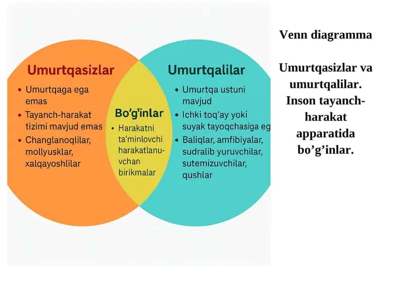Venn diagramma