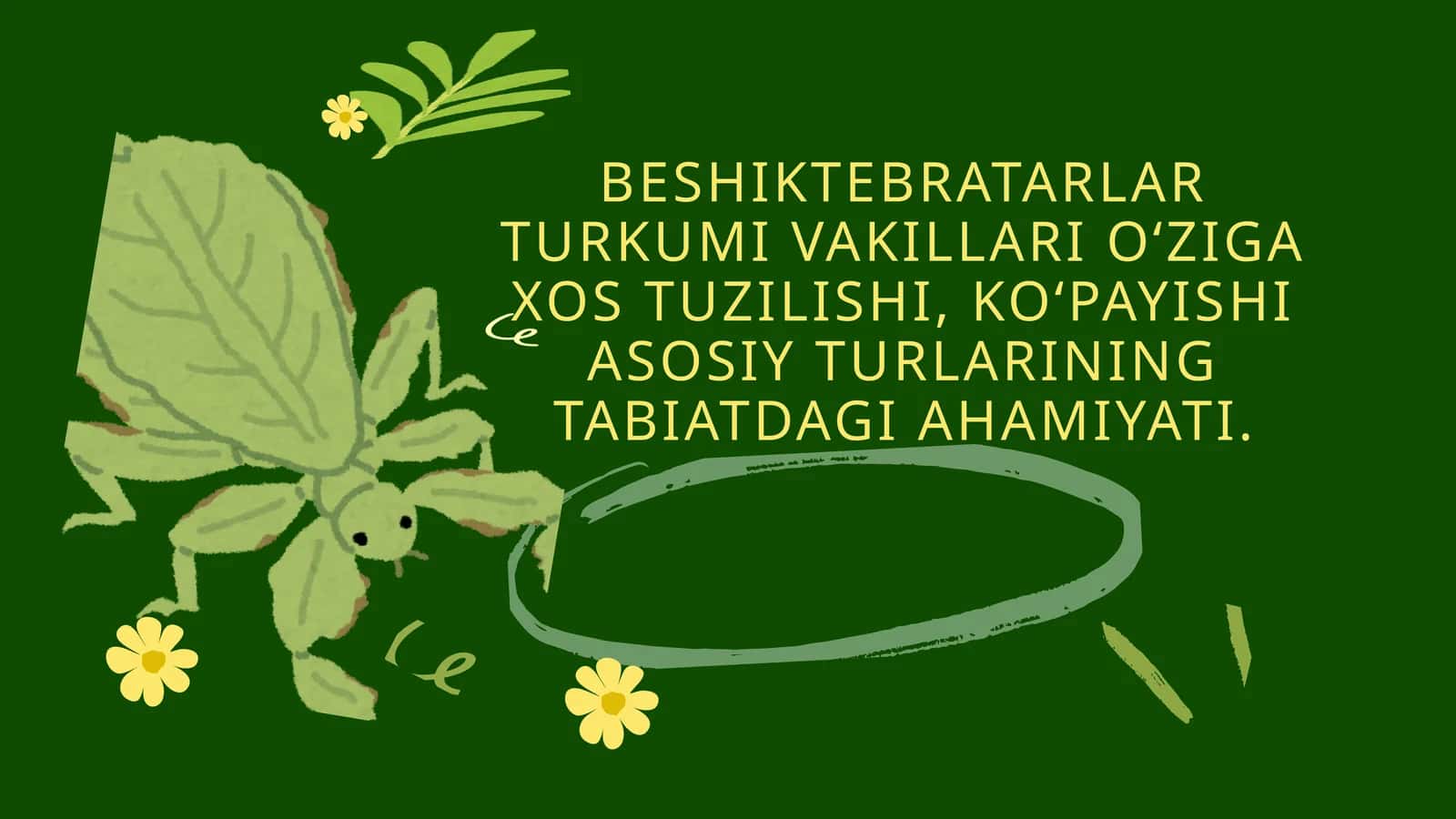 BESHIKTEBRATARLAR TURKUMI VAKILLARI OʻZIGA XOS TUZILISHI