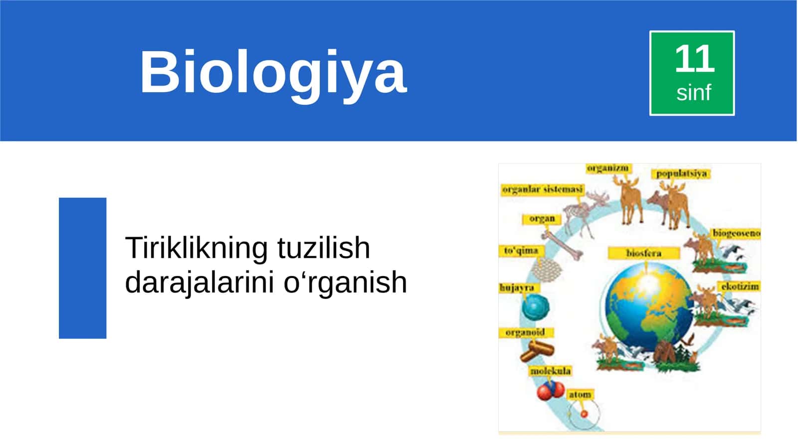 Ekologiya savollari