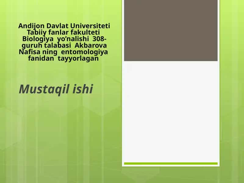 Entomologi. Hasharotlar morfologiyasi