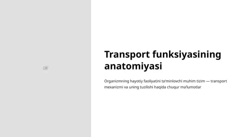 Transport funksiyasining anatomiyasi