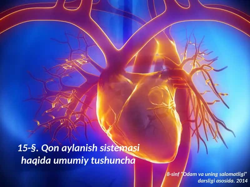 Qonaylanish sistemasi haqida umumiy tushuncha