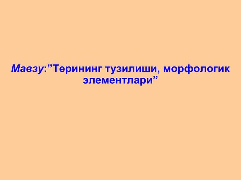 Терининг Паразитар Касалликлари