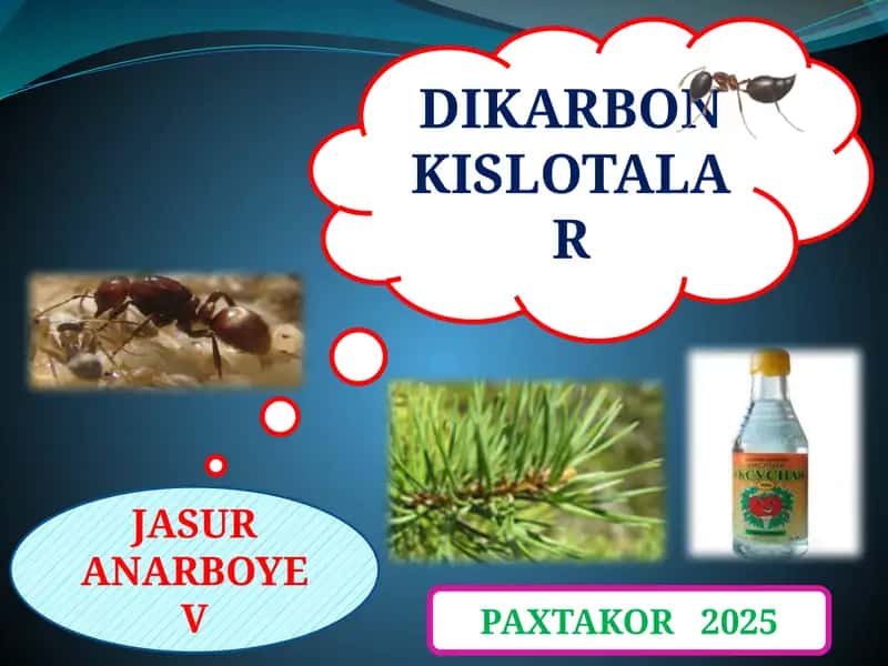 To’yingan dikarbon kislotalar va ularning hosilalari