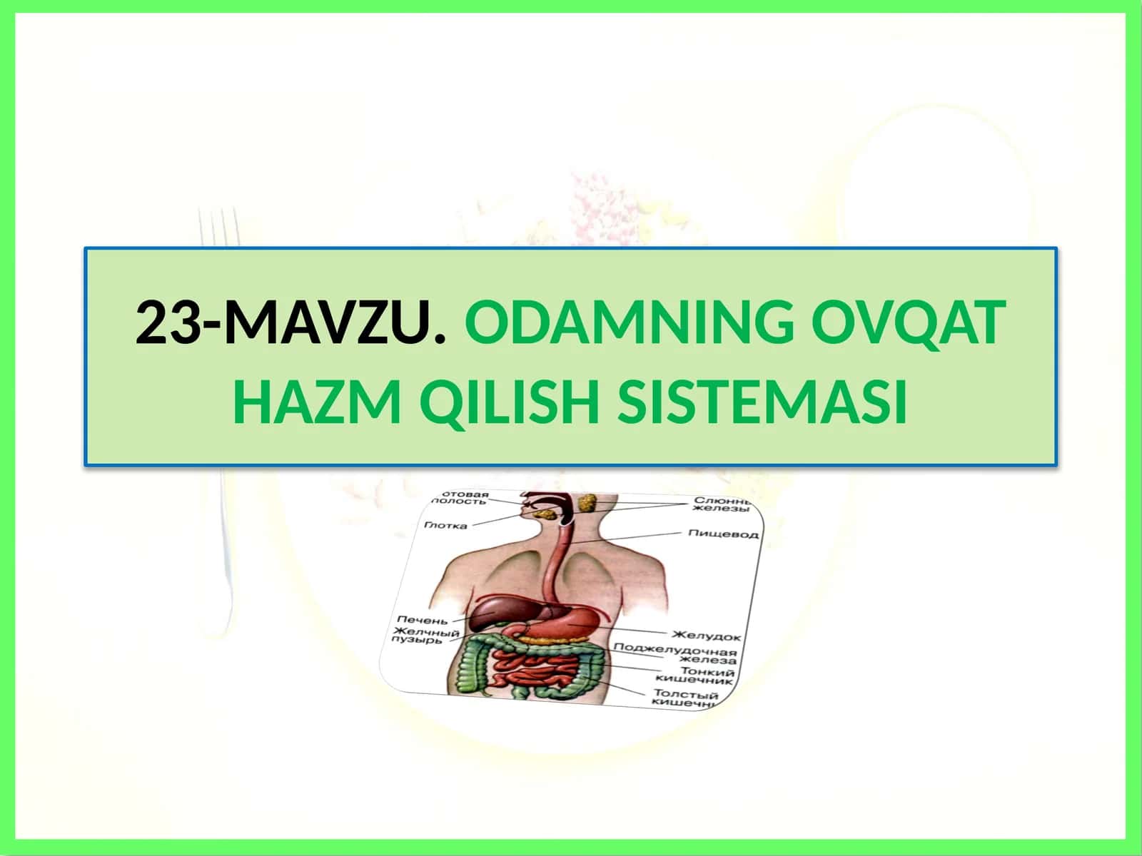 Odamning ovqat hazm qilish sistemasi