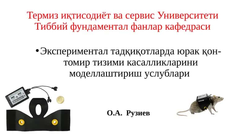 Экспериментал тадқиқотларда юрак қон-томир тизими касалликларини моделлаштириш услублари