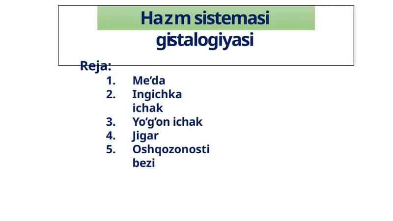 Hazm sistemasi gistologiyasi