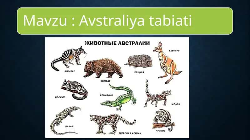 Avstraliya tabiatining o'ziga xos xususiyatlari