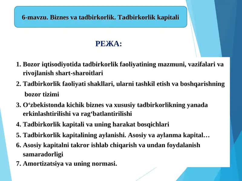 Tadbirkorlik faoliyati