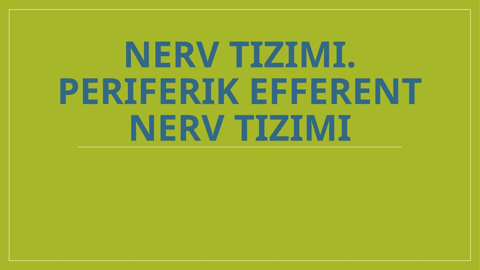 Nerv sistemasining bo'linishi