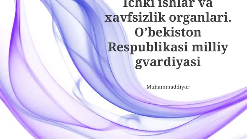 Ichki ishlar va xavfsizlik organlari