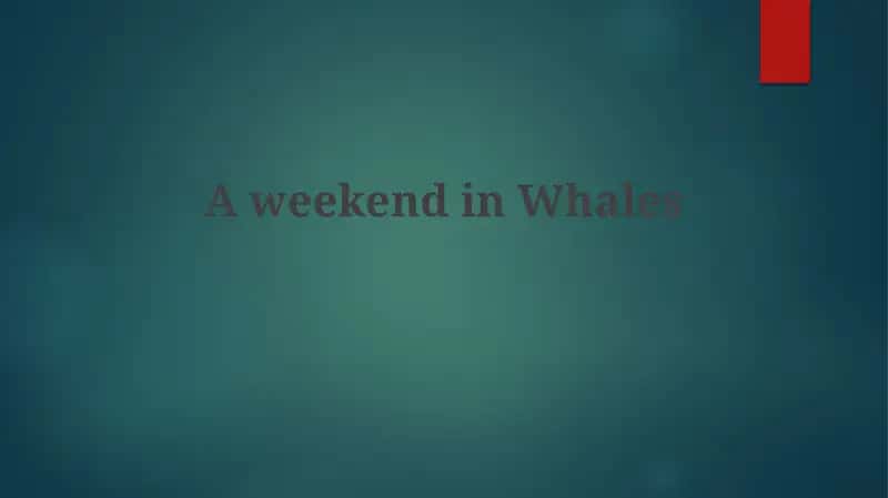 A weekend in Whales