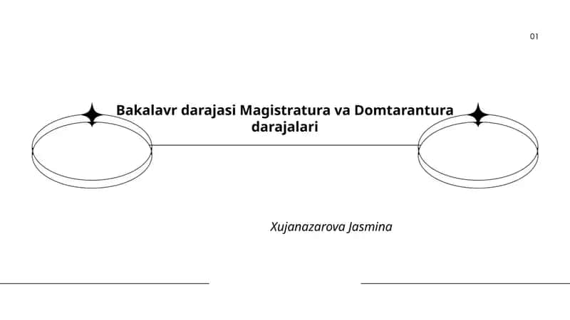Bakalavr darajasi Magistratura va Domtarantura darajalari