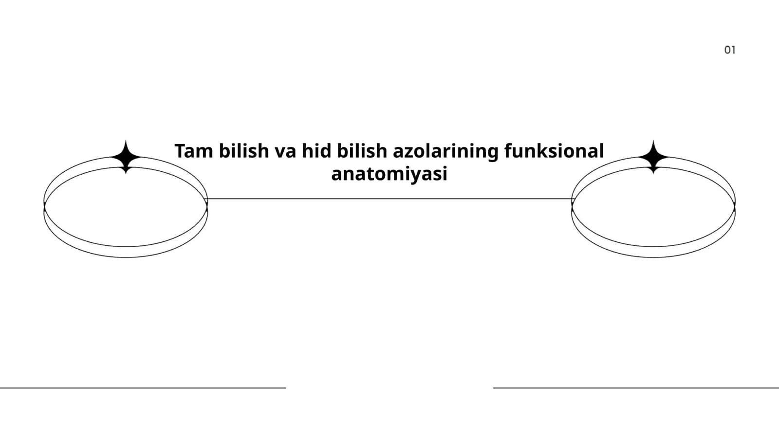 Tam bilish va hid bilish azolarining funksional anatomiyasi