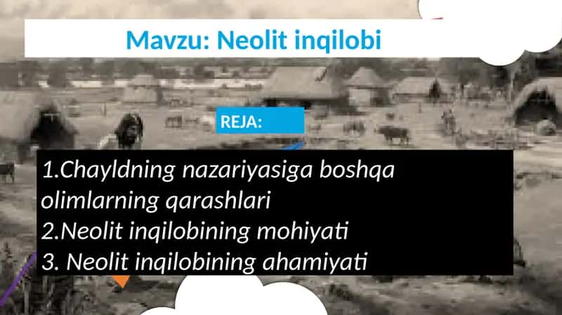 Neolit inqilobi