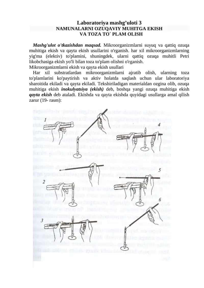 Laboratoriya mashg’uloti 3