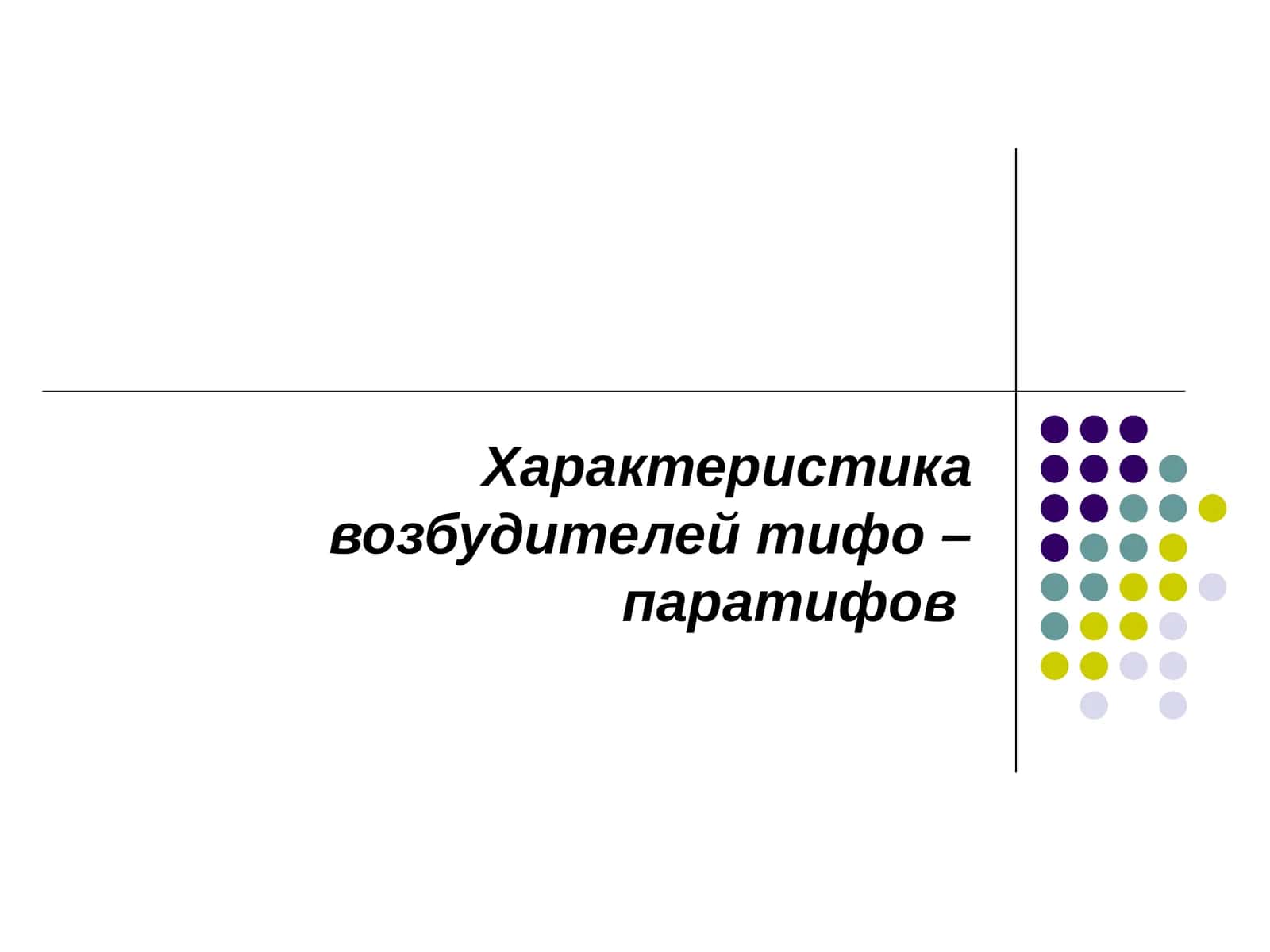 Характеристика возбудителей тифо – паратифов