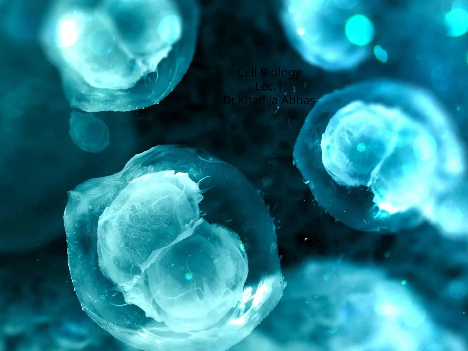 Cell BiologyLec.1