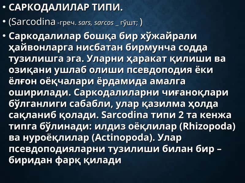 Саркодалилар Типи
